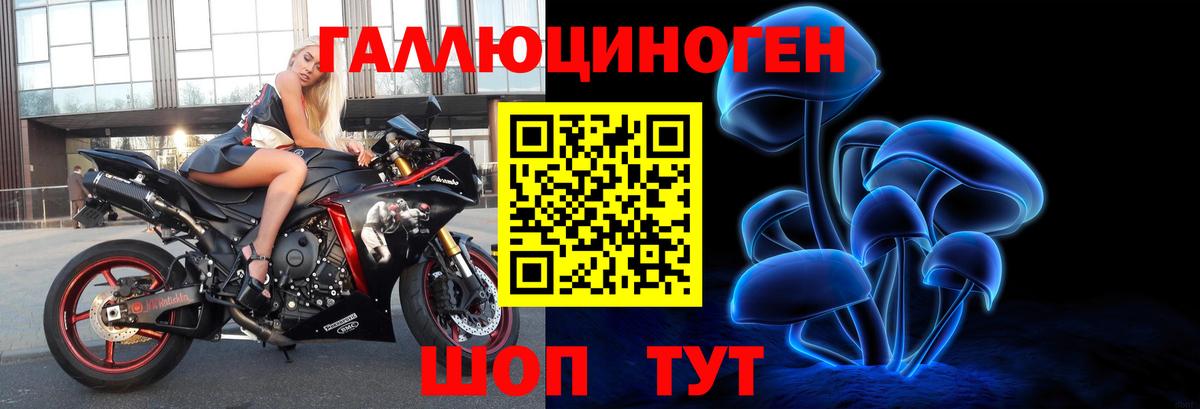Искитим  наркота  Вход с VPN  Псилоцибиновые грибы Cubensis 