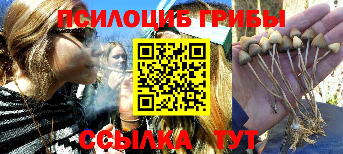 Псилоцибиновые грибы ЛСД Искитим